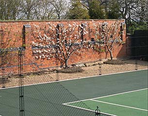Tennis Court Construction - Victorian brick wall with obelisk tennis court fencing by AMSS